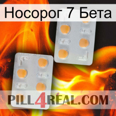 Носорог 7 Бета 25